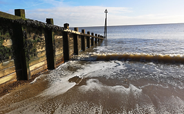 coastal education